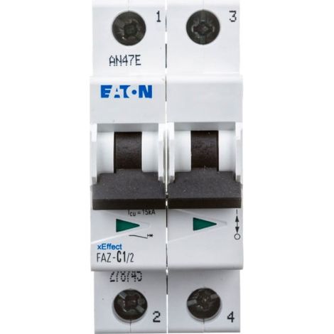 Interruttore magnetotermico 2P C 1A 15kA AC FAZ C1/2 278745