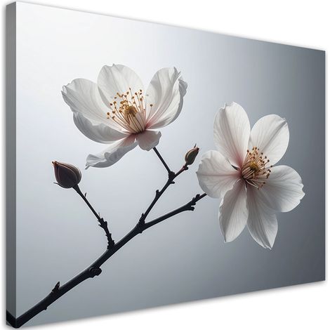 Cuadro en Lienzo Magnolias blancas sobre una rama en un elegante diseño 30x20 (1/5)