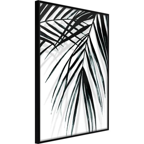 Affiche Murale Encadrée "Leaf and Its Shadow" 21 x 30 cm Noir