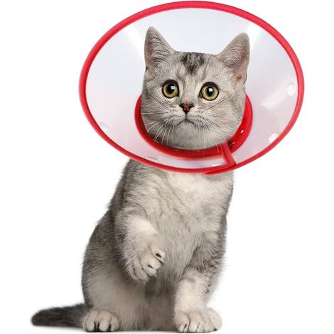 Cône réglable pour Chat, Collier élisabéthain léger pour Chiots, Petits Chiens et Chats (Rouge) (1/3)