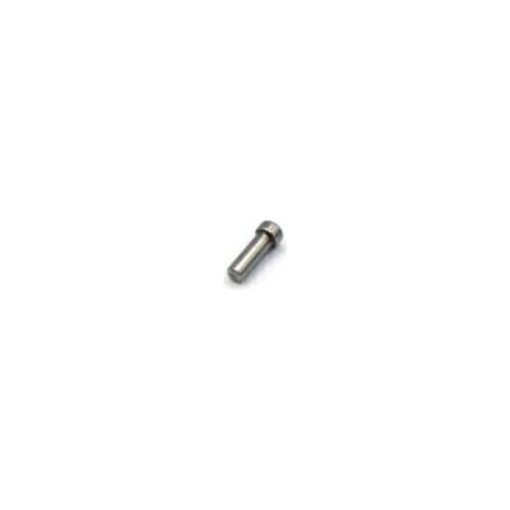Repuesto original BOSCH 1619P04839  Perno para PSA700E PSA900E GSA1100E