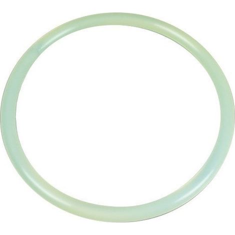 Filtro coperchio AstralPool