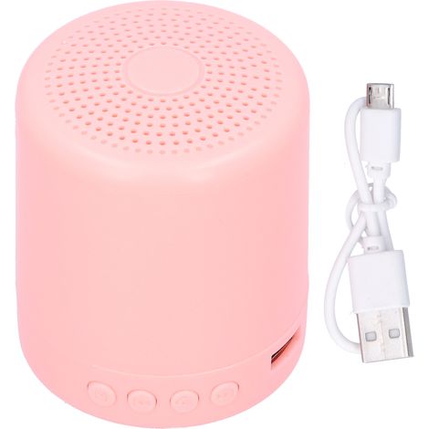 Enceinte Bluetooth Portable Mini Extérieure - Haut-parleur Puissant avec USB, Carte Mémoire et FM en Rose (1/5)