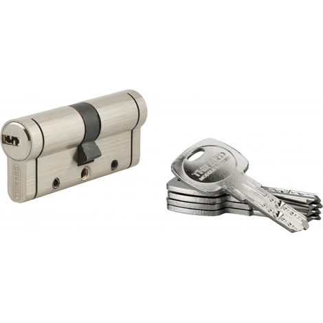 THIRARD - Cylindre de serrure Trafic 12, 35x35mm, nickel, anti-arrachement, anti-perçage, anti-casse, 5 clés - THIRARD