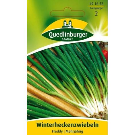 Quedlinburger Winterheckenzwiebeln Freddy - Gemüsesamen (1/2)