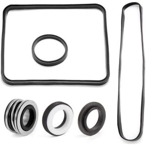 Kit de réparation de joint torique pour pompe de piscine pour Hayward Super Pump SP2600 1600 2600X Kit (1/4)