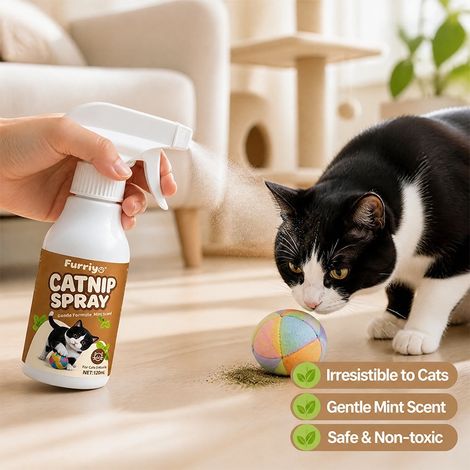 Le spray à l'herbe à chat aide à réduire le stress chez les chats – un accessoire de soin ludique et interactif pour les propriétaires d'animaux. (1/4)
