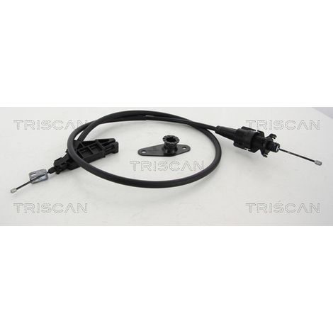 Tirette à câble, frein de stationnement Triscan 8140 10196 CITROËN 14 012 717 80