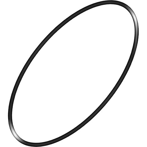 SX200Z7 S200 Sandfilter-O-Ring, kompatibel mit Sandfiltern der Serie S200 (1/5)