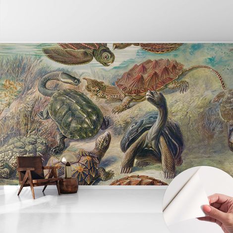 Selbsthaftend Tapete für Wohnzimmer Schlafzimmer Küche - Wanddekoration Schildkrötenfauna 416x254 cm (1/5)