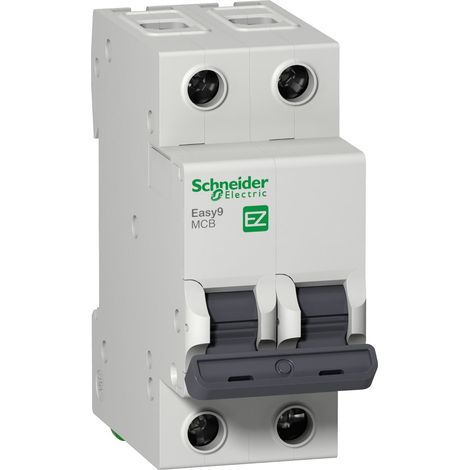 Easy9 Interruttore magnetotermico- 2P - 10 A - Curva C - 6000 A - 230 V - EZ9F56210