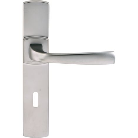 Vachette MUZE poignée de porte chromé velours zamak (1/8)