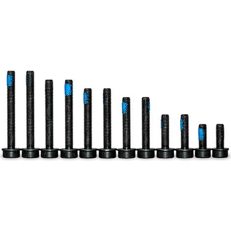 Schraubensatz Magura flat mount Edelstahl Torx 12 Stück