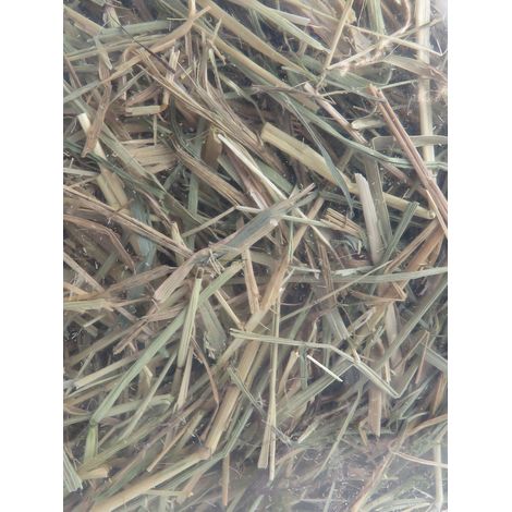 Foin alpage, pomme, betterave, 1 kg, pour rongeur. - animallparadise (1/4)
