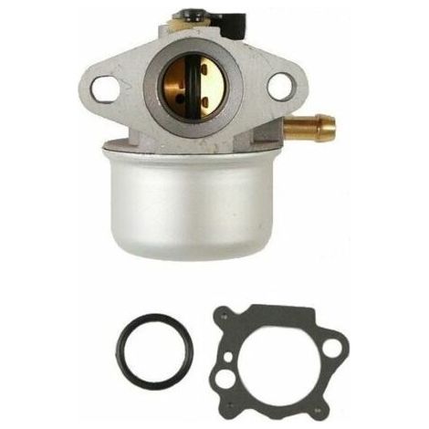 BARKBUSTERS Carburateur moteur Briggs et Stratton - 498170 (1/5)