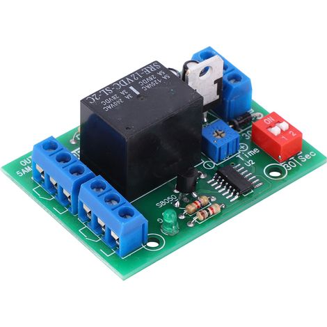 Module relais à temporisation coupure 10-16V commutateur minuterie 2 sorties DPDT (1/5)