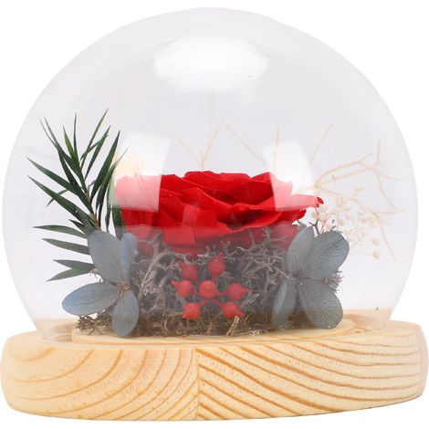 Rose préservée sous dôme de verre anti-poussière cadeau floral élégant pour Noël, anniversaires rouge (1/5)