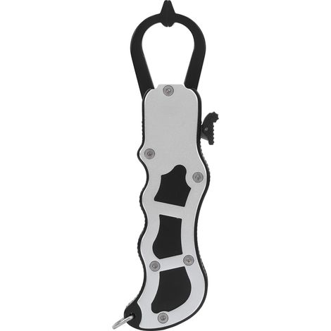 Pinces à poisson portables en alliage d'aluminium, pince de préhension pour pêche, accessoire de pêche, mini contrôleur de poisson. (1/5)