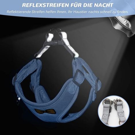 1 Ensemble Laisse Harnais Chat, Réglable Polyester, Anti-fugue, Tissu Polaire, pour Chaton (1/5)