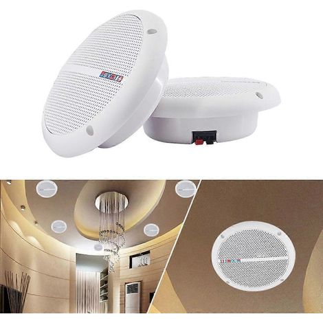 Enceinte de plafond étanche WEAH-600, 25 W, 87 dB, idéale pour les fêtes et les rassemblements (1/4)
