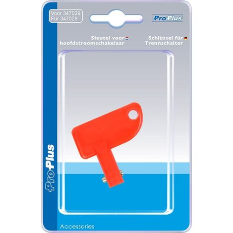 Chiave per interruttore generale 347029 in blister