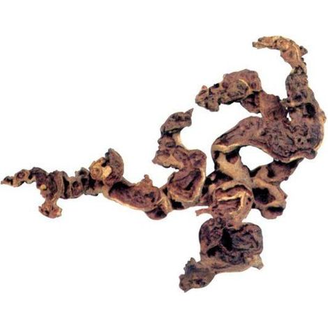 Zolux Radice Maupani decorazione per acquario