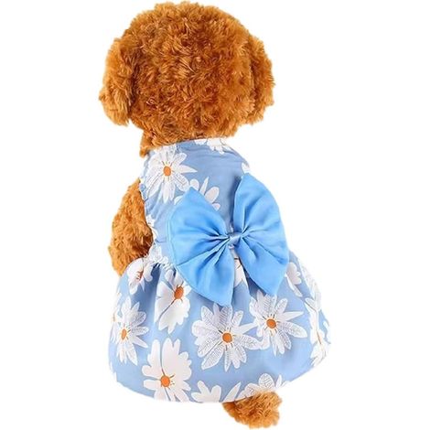 1 robe pour chien, princesse à nœud papillon, coton et polyester, imprimé marguerite bleu clair, taille S (1/5)