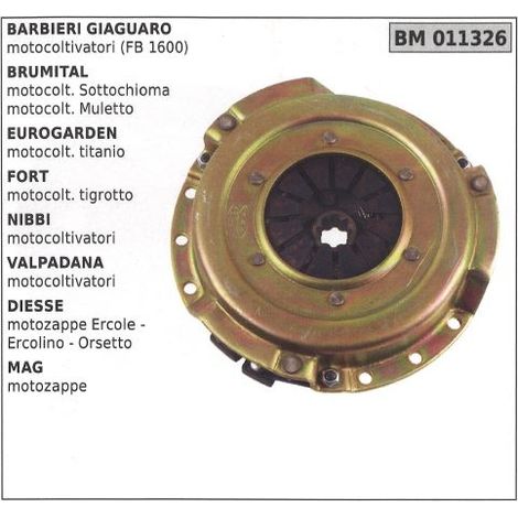 Kupplung für BARBIERI BRUMITAL EUROGARDEN 011326