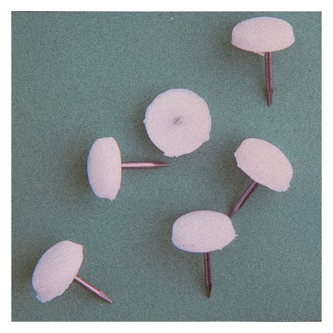 SC PARACOLPO PLASTICA MARRONE 20 PZ- 1,0 pz