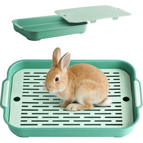 Bac à litière, Plastique, Grille amovible, Bord lisse, Vert, Pour lapin, hamster, cochon d'Inde (1/5)
