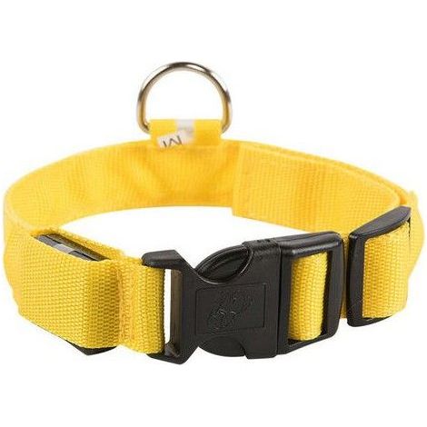 Allumez Les Lumières De Collier De Chien Pour La Nuit Clip Sur Collier De Chien Led Lumineux Et Haute Visibilité (1/5)