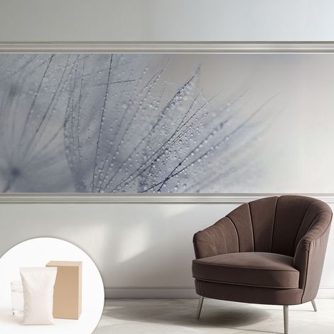 Carta Da Parati - Mural - Con Sala Da Pranzo - Camera Da Letto - Cameretta - Con Colla Gratuita dente di leone rugiadoso 250x104 cm (1/5)
