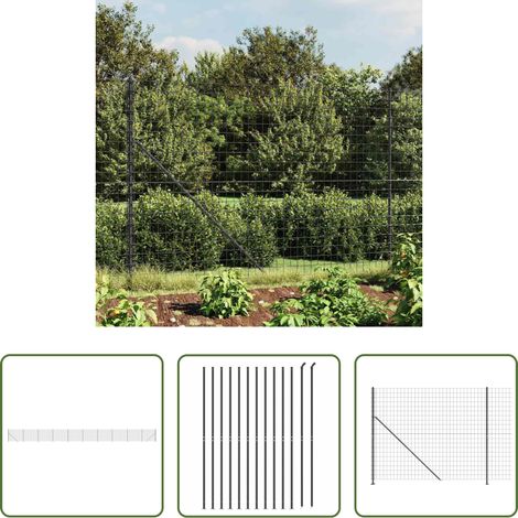Clôture en treillis -  Clôture en treillis métallique avec bride anthracite 1,6x25 m (1/5)