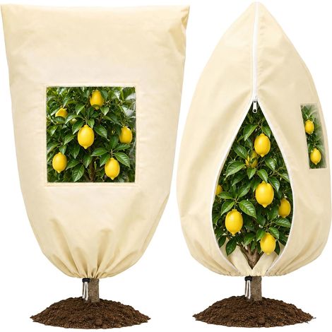 80X120cm Voile Hivernage Plante Exterieur avec Transparente 70g/m² Housses d'hivernage de Protection, Toile Sac Hiver avec Fermeture à Glissière, pour Olivier Citronnier beige (1/5)
