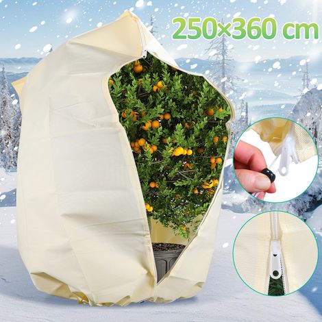 Jopassy Velo invernale di protezione 1x 100g/m² per piante in vaso Piante 250x360cm Velo da giardino di protezione dal gelo (1/5)