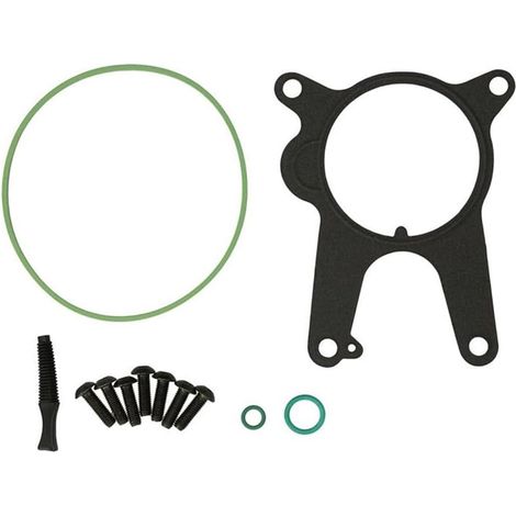 Kit de réparation pompe à vide pour système frein voiture Fiat (1/5)