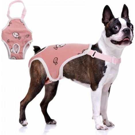 Culotte femme avec suspension, culotte physiologique pour animaux de compagnie, sous-vêtements femme confortables et ajustables, slip en coton respirant pour chiens en peluche (1/4)