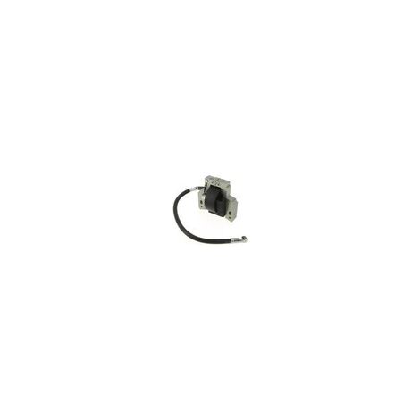 Bobina electrónica adaptable para motor Briggs & Stratton modelos 5 HP (distancia entre agujeros: 58,9 mm) 100200, 100900, 130220 a 132900, 133