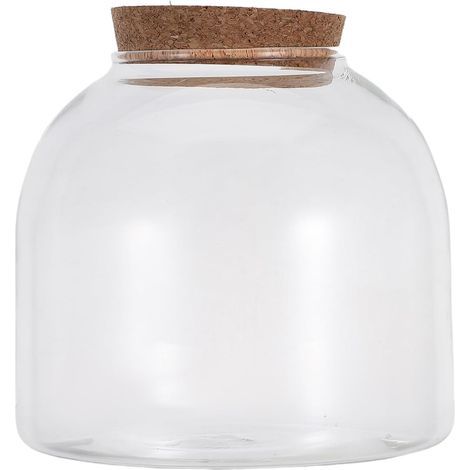 Moos Terrarium Glas Hydrokultur Glasvase für Aquarien