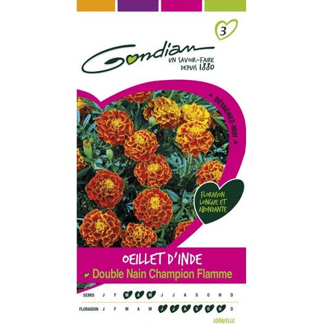 Gondian - Œillet d'inde Double Nain Champion Flamme (1/3)