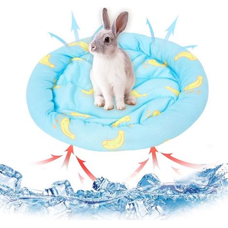 Tappetini rinfrescanti per piccoli animali - Conigli - Criceti - Tappetini rinfrescanti - Estate - Superficie ghiacciata - Letti - Animali domestici - Cuccioli - Porcellini d'India - Gatti (1/4)