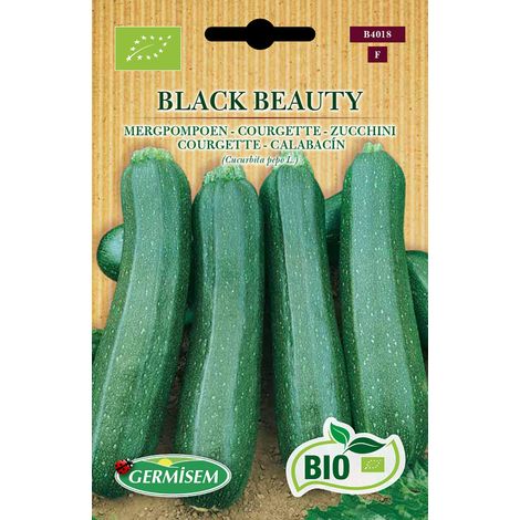 Graines Courgette BLACK BEAUTY (1/2)