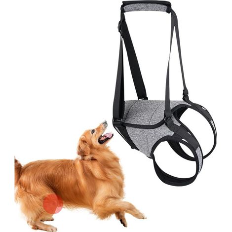 Faisceau de câble de levage pour chien - Sangle de levage réglable pour chien - Support de la patte arrière de chien - Support de la jambe arrière pour animaux de compagnie - Design confortable du (1/5)