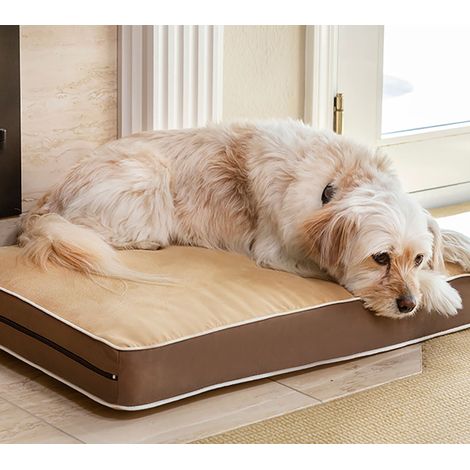 Cama para Perros y Gatos- Fácil de Lavar - 3 tamaños Diferentes en función del tamaño del Perro (Medium (69x47cm)) (1/2)