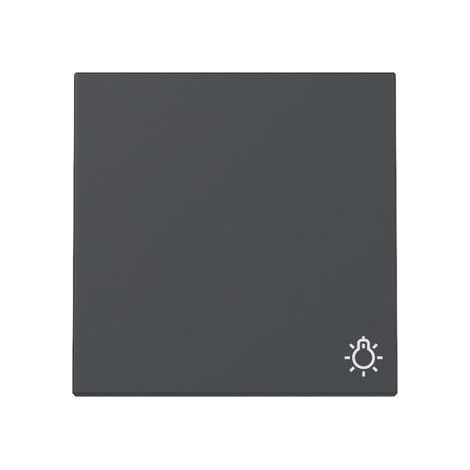 Schalter Gira 328528 Leuchtendes Symbol Anthrazit