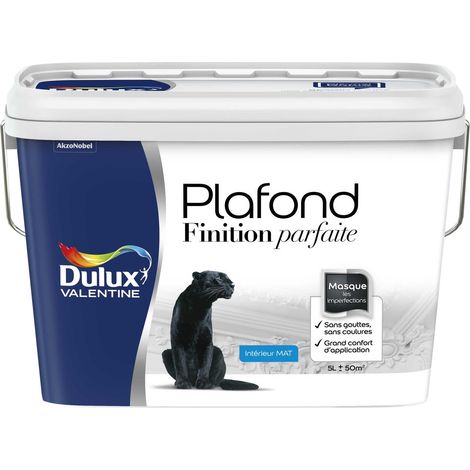 Peinture Plafond Finition Parfaite Dulux Valentine Mat Blanc 5 L