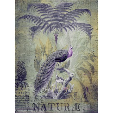 Papier peint panoramique vintage violet & gris Tapisserie panoramique oiseaux de la jungle Papier peint panoramique tropical pour salon (1/2)