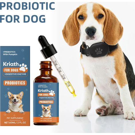 Gouttes probiotiques pour chiens - Soin intestinal doux, complément nutritionnel pour chiens - 60 ml (1/5)