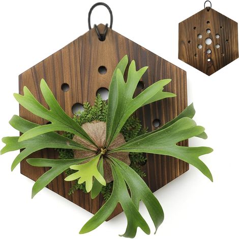 Support mural pour plantes, jardinière murale hexagonale en bois, facile à accrocher (1/5)