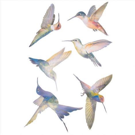 Lot de 6 grands autocollants anti-collision pour fenêtres en forme d'oiseaux (1/5)